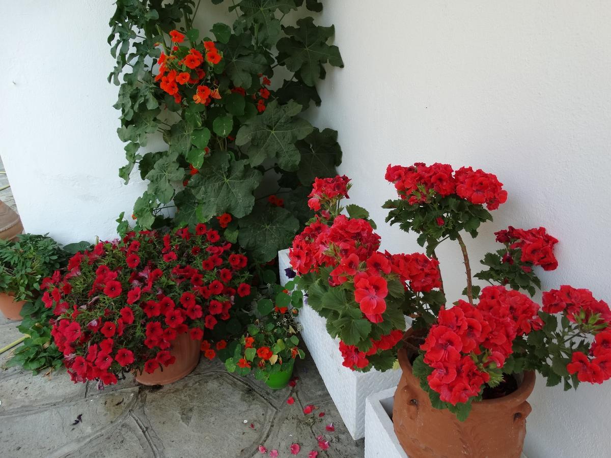 Christakos Apartments Vrasná Dış mekan fotoğraf